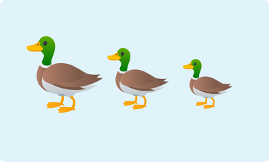 Image of three ducks in a row going from the largest to the smallest duck on a light blue background