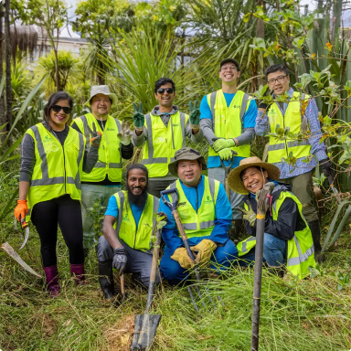 Image of workers doing their part and caring for nature as they garden and take care of the New Zealand bushland