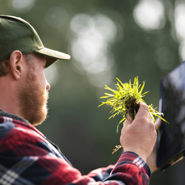 Image of a man holding a small tuft of grass in his hand