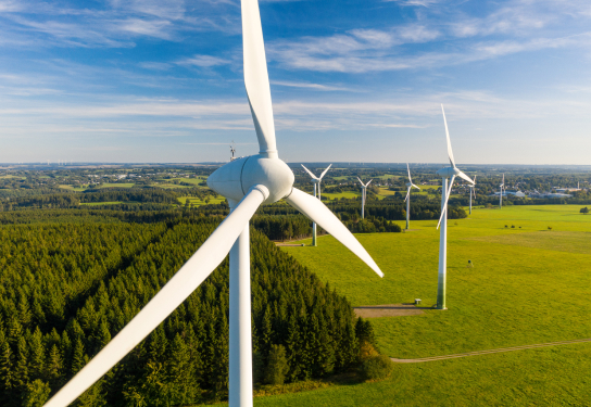 Image of wind turbines in a field