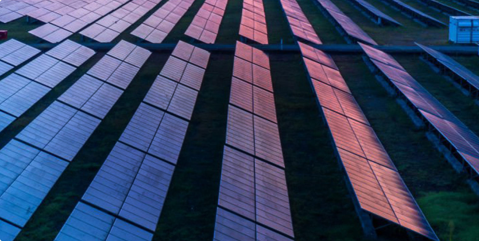 Image of rows of solar panels in a field