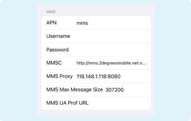 Screenshot of Apple MMS APN settings on a light blue background