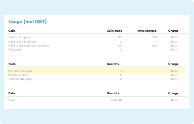 Screenshot of a Pay Monthly invoice highlighting the section where it advises of the cost of MMS and how many were sent in that billing cycle