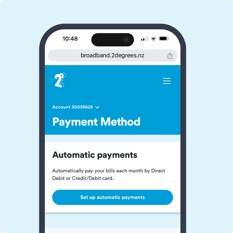 screengrab of payment info