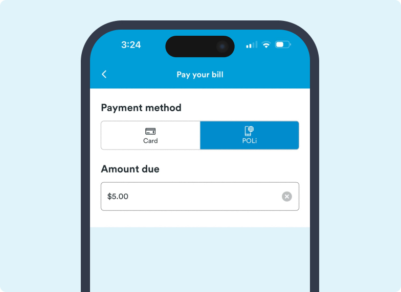 screengrab on poli payment method