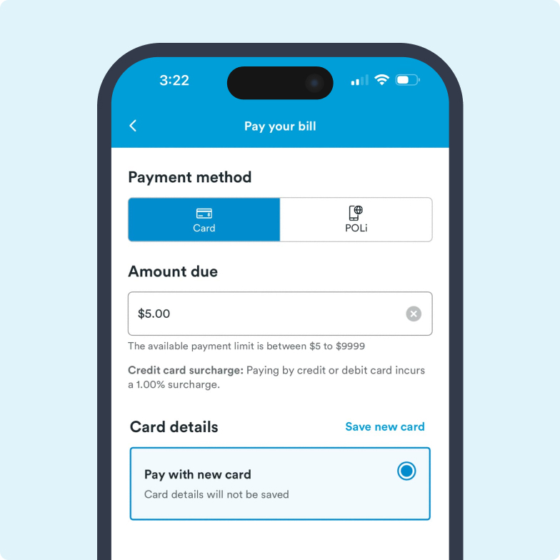 screengrab of one off payment option